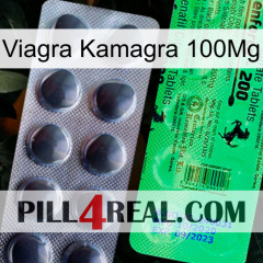 Viagra Kamagra 100Mg new04